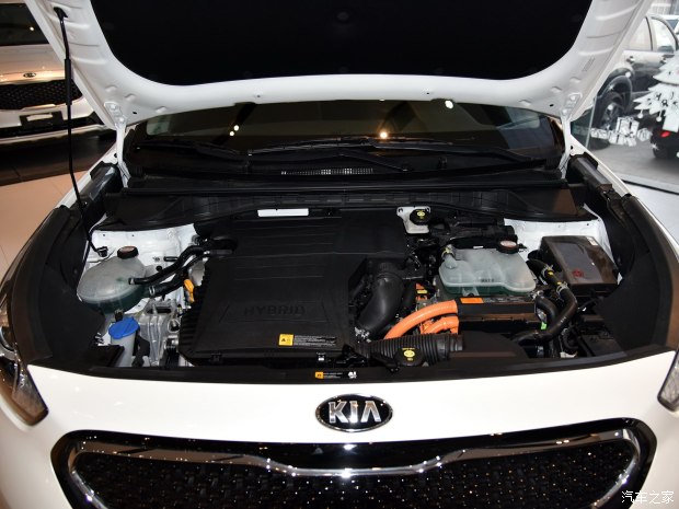 起亚(进口) 极睿 2017款 基本型