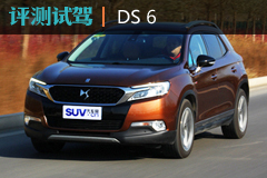 鶨 Լ鳤PSA DS 6