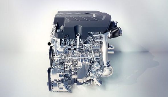 1529642399519787.jpg 15.jpg